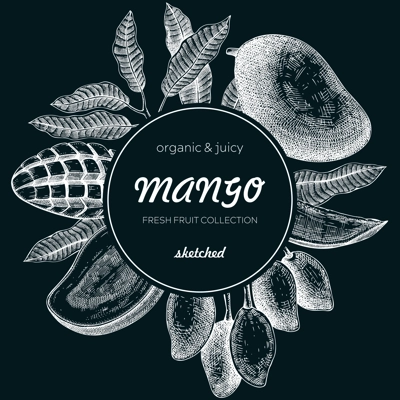  Tropical fruit banner. Summer background. Mango sketch on chalkboard, hand-drawn vector illustration. Juice packaging, invitation card template, print design. NOT AI generated